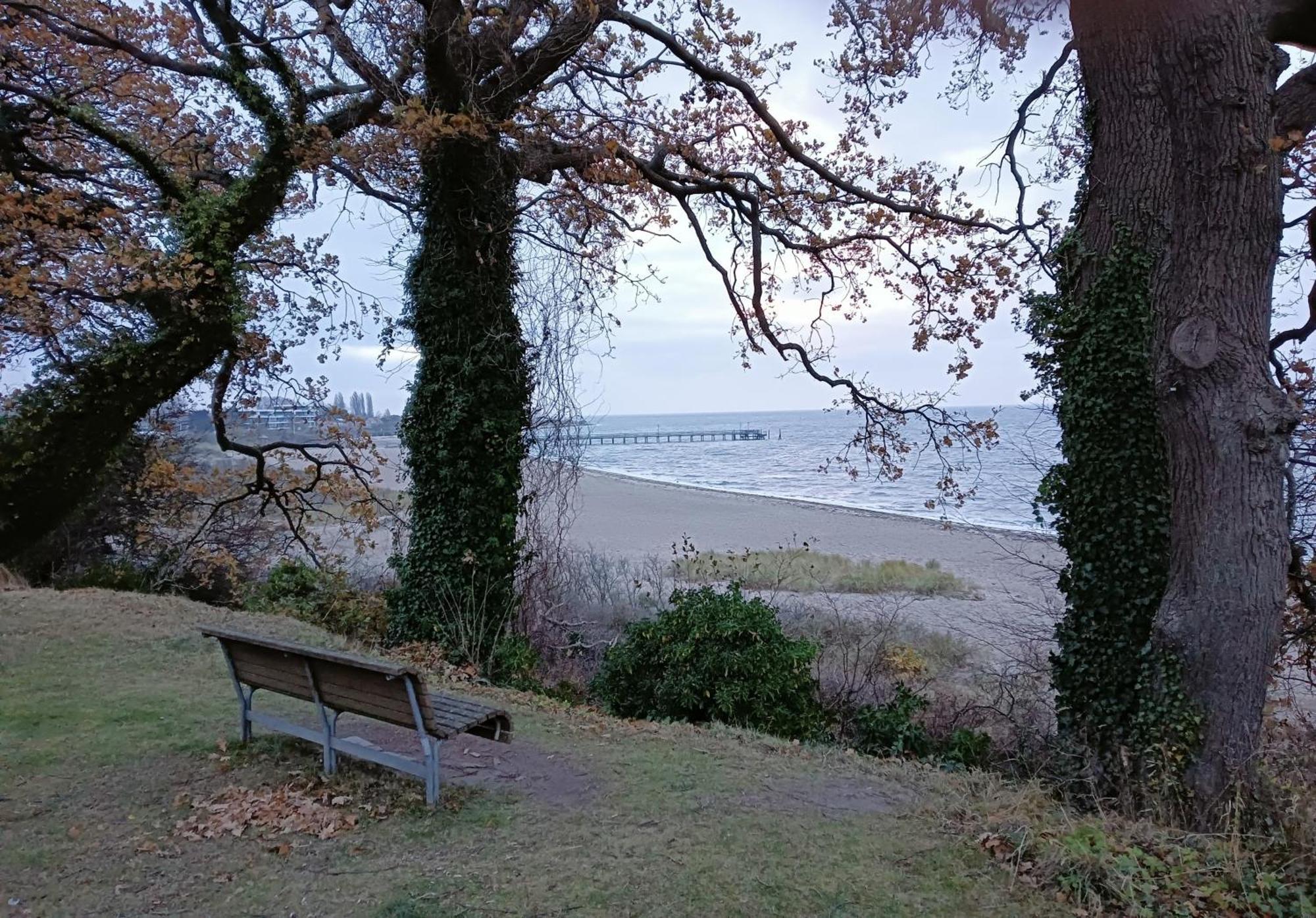 Fewo Muschelgetuschel Im Prinz Hamlet - Direkte Strandlage 펠체르하켄 외부 사진